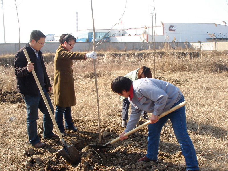 2011公司開(kāi)展義務(wù)植樹(shù)慶“三八”活動(dòng)