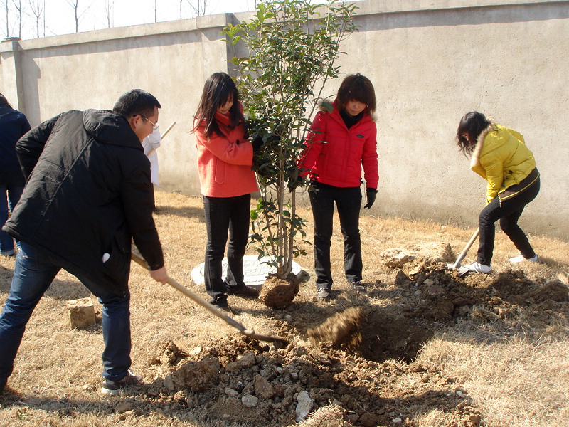 2011公司開展義務(wù)植樹慶“三八”活動(dòng)